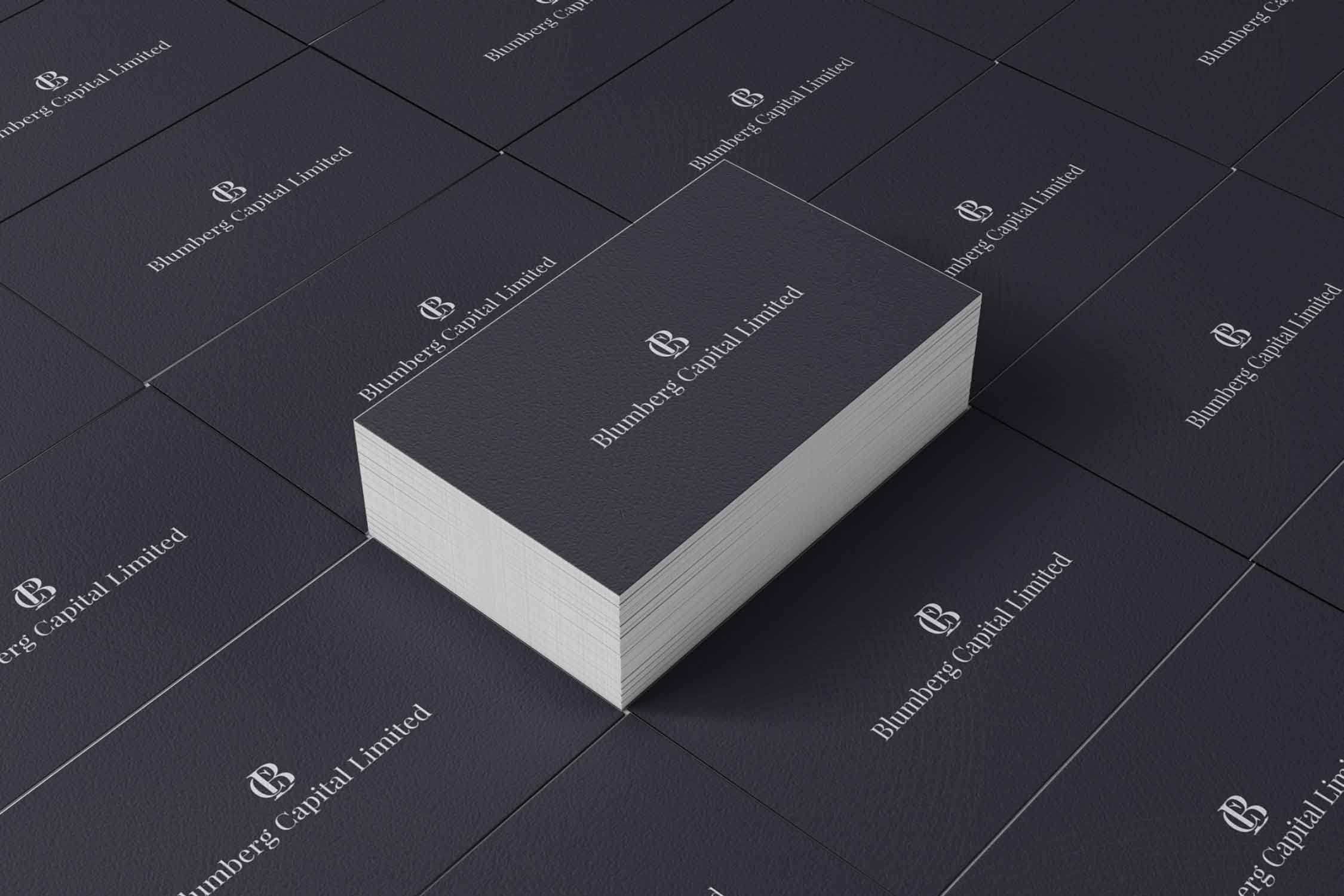 Blumberg Capital — brand presentation